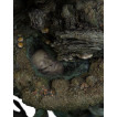 El Señor de los Anillos Estatua 1/6 The Dead Marshes 64 cm