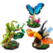 LEGO Ideas - 21342 - Colección de Insectos