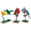 LEGO IDEAS - 21301 - BIRDS