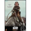 Star Wars The Mandalorian Pack de 2 Figuras 1/6 Kuiil & Blurrg 37 cm
