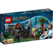 LEGO Harry Potter™ - 76400 - Carruaje y Thestrals de Hogwarts™