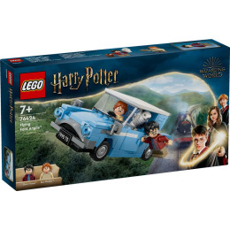 LEGO Harry Potter - 76385 - Momento Hogwarts: Clase de Encantamientos