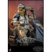Star Wars The Clone Wars Figura 1/6 ARF Trooper & 501st Legion AT-RT 30 cm