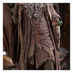 El Señor de los Anillos Estatua Radagast in Rhosgobel Limited Edition 43 cm