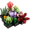 LEGO Icons - 10309 - Suculentas