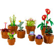 LEGO Icons - 10329 - Plantas Diminutas