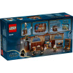 LEGO Harry Potter™ - 76442 - Castillo de Hogwarts™: Clase de Encantamientos
