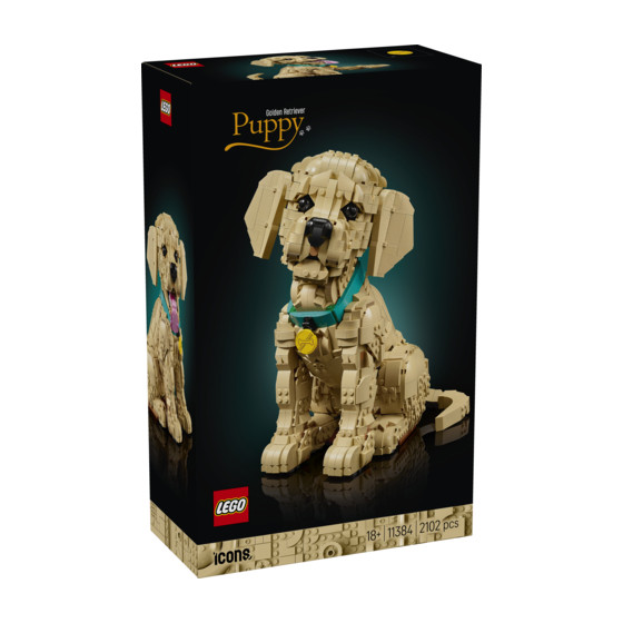 LEGO Icons - 11384 - Cachorro de Golden Retriever