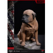 Rocky Estatua Superb Scale 1/4 Rocky 1976 54 cm