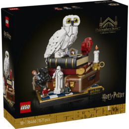 LEGO Harry Potter - 76385 - Momento Hogwarts: Clase de Encantamientos