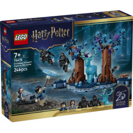 LEGO Harry Potter - 76385 - Momento Hogwarts: Clase de Encantamientos