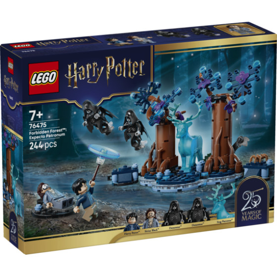 LEGO Harry Potter - 76385 - Momento Hogwarts: Clase de Encantamientos