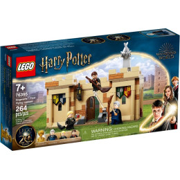 LEGO Harry Potter - 76395 - Hogwarts: Primera Lección de Vuelo