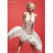 Marilyn Monroe Estatua 1/4 Hybrid Superb Scale Marilyn Monroe 46 cm