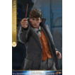 Animales fantásticos 2 Figura Movie Masterpiece 1/6 Newt Scamander 30 cm